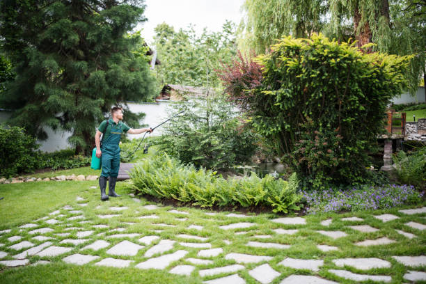 Lawn Pest Prevention in Buckhorn, CA
